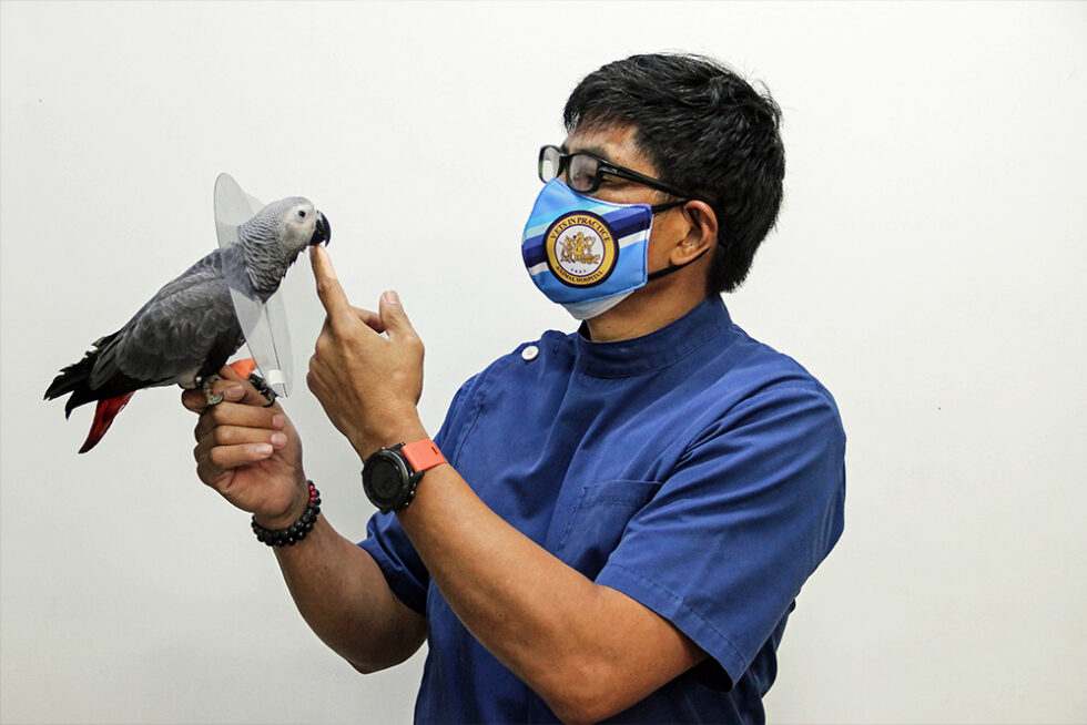 Avian and Exotic Pet Care Vets in Practice