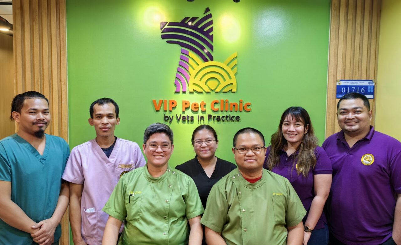 vip-pet-clinic-vets-in-practice